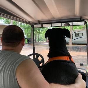 Meet your Posher, Brandi